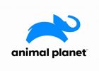 us-animal-planet-6587-768x576
