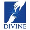 us-divine-vision-network-uk-8027-768x576